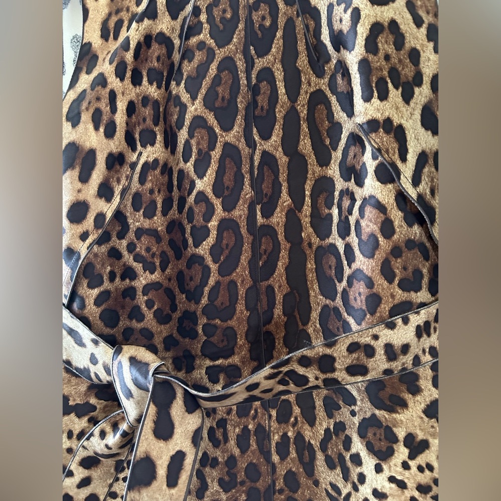 Dolce & Gabbana Leopard Print Mini Dress /tunic matching black pants
new $1795 - Picture 4 of 11